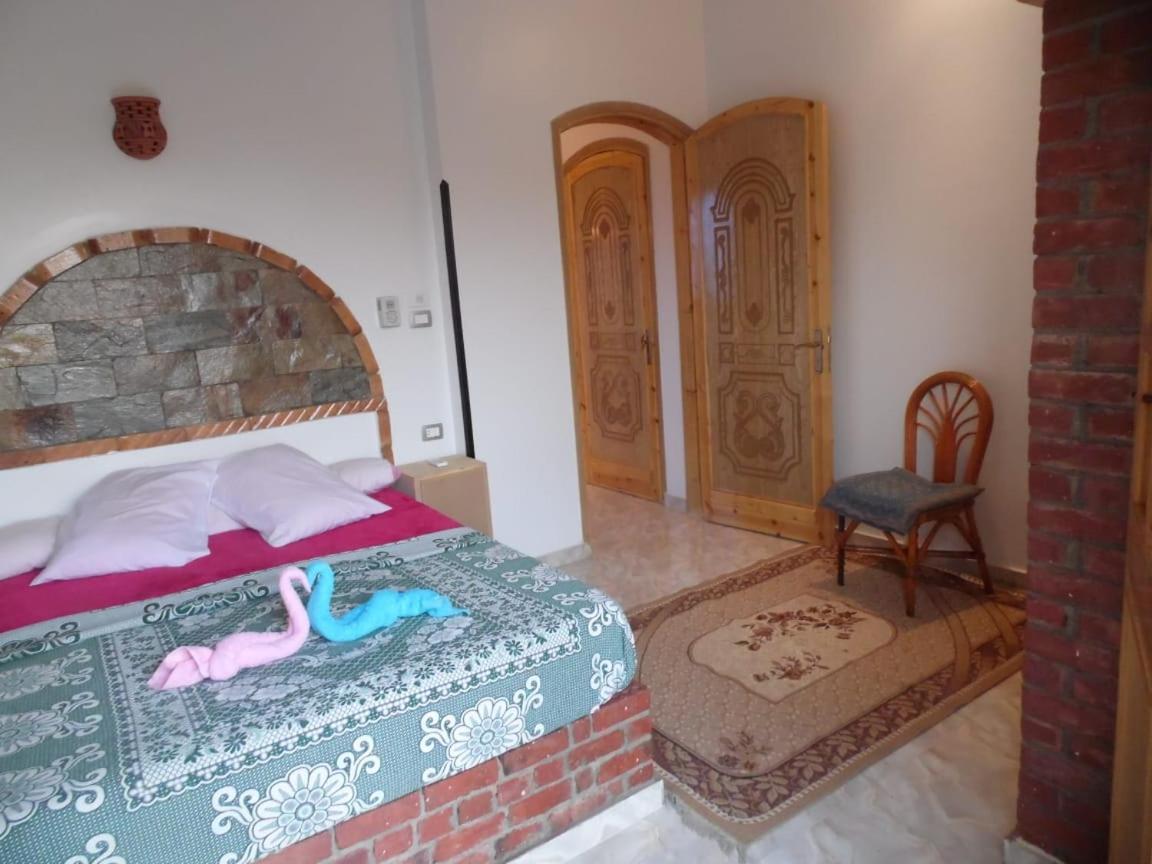 Nour House Lejlighed Luxor Eksteriør billede